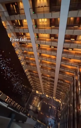 Understanding Freefall: The Physics Behind Falling Objects