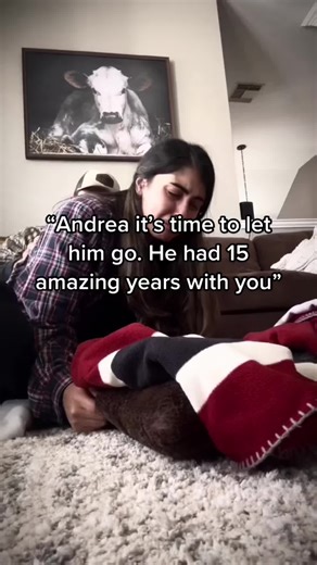 It’s time to let him go. Pet memorial gift for #petloss #petlover #pet