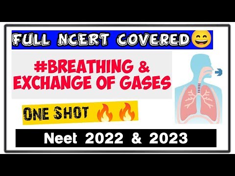 "Breathing & Exchange Of Gases" Full Chapter In One Shot🔥🔥| Class 11th Biology | Neet 2022 & 2023