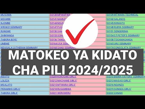 🔴MATOKEO YA KIDATO CHA PILI FORM TWO NECTA 2024/2025 Results