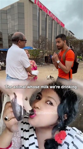 Milk: For Need or Habit?