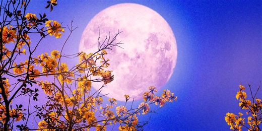 Calendario lunar 2026: fechas y momentos claves de la Luna este año