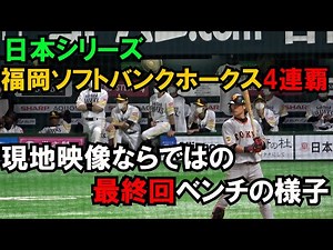 【日本シリーズ】福岡ソフトバンクホークス 最終回!!優勝決定の瞬間までのベンチ 現地映像
