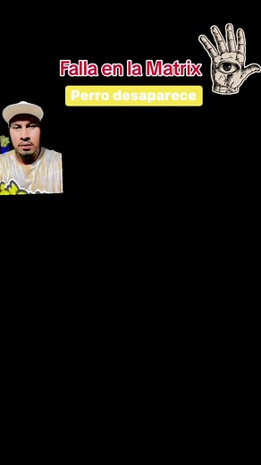 Falla en la Matrix || perro desaparece #matrix #FallaEnLaMatrix #RealidadVirtual #Despierta #perros #desaparace | Edward Gonzalez