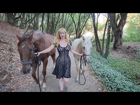 Dainty Rascal Dancing Bringing in The Horses Part 1