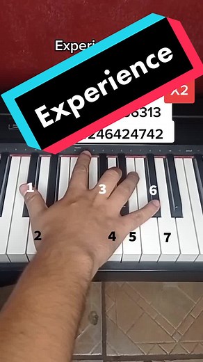 Ludovico Einaudi Piano Tutorial Experience
