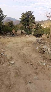 New entry | Waqas Hiace & pickup lover's