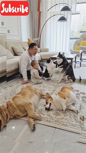"When a kid commands four dogs—total magic!"