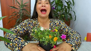 15K views · 708 reactions | Cyca revoluta una planta impresionante que debes tener en casa | Jardín De La Chita | Facebook