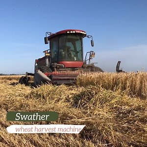 2.8K views · 1.5K reactions | The agriculture industry is in a critical labor shortage. To help? Robotics, automation and mechanization. | Western Growers | Facebook