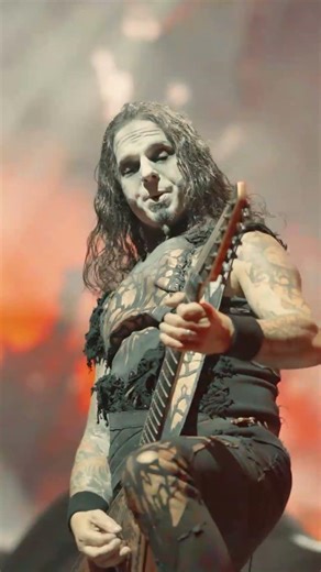 Fire & Forgive Wildlive