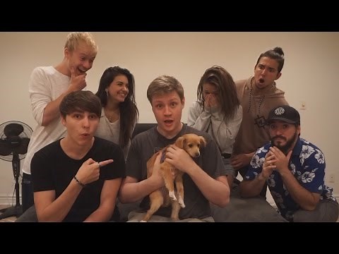 SURPRISE PUPPY PRANK ON ROOMMATES!!