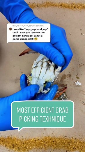 Most efficient way to open up a blue crab #viral #crab #seafood #technique #howto