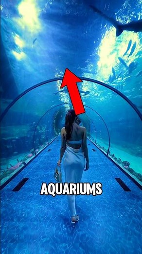 Top 5 Biggest Aquariums That Will Blow Your Mind 😱