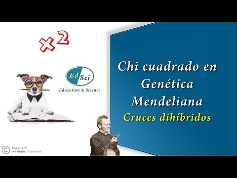 🔴 Chi-square in dihybrid crosses 👍🏻🤓2️⃣