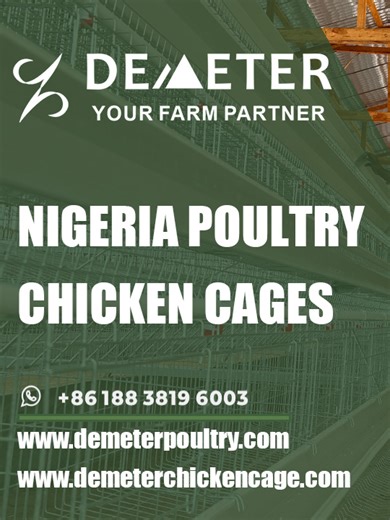 Nigeria Chicken Layer Cage for Poultry Farm WhatsApp /WeChat/ Telegram: 86 188 3819 6003 Email: info@demeterpoultry.com ​Web: www.demeterchickencage.com Let us help you elevate your poultry farming equipment layer chicken cage system to new heights. Your success is our priority! ❓❓ Nigeria Chicken Layer Cage for Poultry Farm 🚩🚩 Looking for high-quality chicken cages for poultry farming in Ogun Nigeria? Our durable and affordable chicken cages, sourced directly from a trusted China factory, are