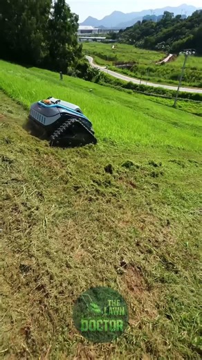 Industrial RC Mower vs. Giant Overgrown Grass: Total Destruction!