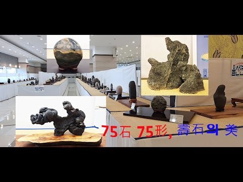 75 stone 75 type, 壽石의 美