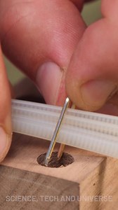 9.6M views · 2.8K reactions | Easy Homemade Broom! | Science, Tech and Universe | Facebook