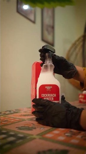 Cockroach Hunter Spray - Best Killer Spray | Odourless & Super Effective