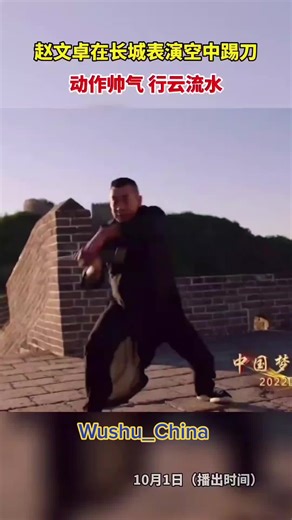 Traditional Wushu Sword Techniques Demonstration
