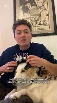 Can neuroscience reveal what's going on in my dog's head? 🐕️🧠