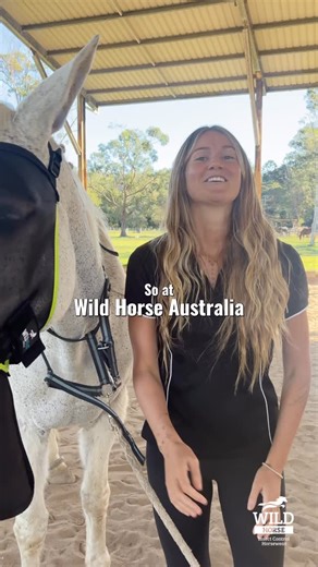 Our new Nose Guard Range is here 💙 Designed for clearer vision, better eye health and cooler, safer summer protection. Made with our unique anti-heat nylon mesh (never PVC), 100% UV insert shields, full eye-clearance darts and all-round nose protection for horses who need that extra coverage. Four styles available so you can choose the fit that suits your horse best. Experience the difference this season 😀 | Wild Horse Australia