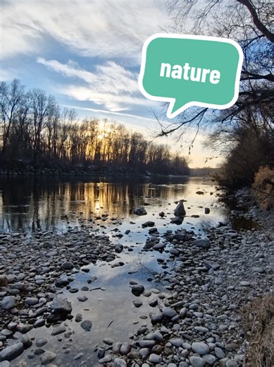 nature 🌱 #traunauen #linz #river #sunset #amazing @oag.ness