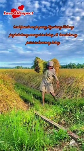 love and respect #love #respect #shortsviral #shorts