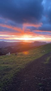 New year, fresh energy 🐎✨ Galloping forward with hope in our hearts, positivity in our steps, and big dreams on the horizon. Let’s ride 🌈 | Jayli Clothing