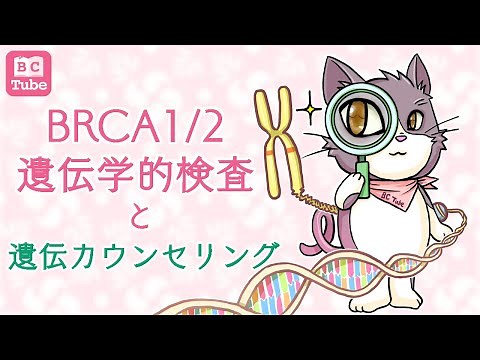 BRCA1/2遺伝学的検査と遺伝カウンセリング【遺伝性乳がん卵巣がん症候群（HBOC）】 《BC Tube：乳癌の専門家による情報発信グループ》