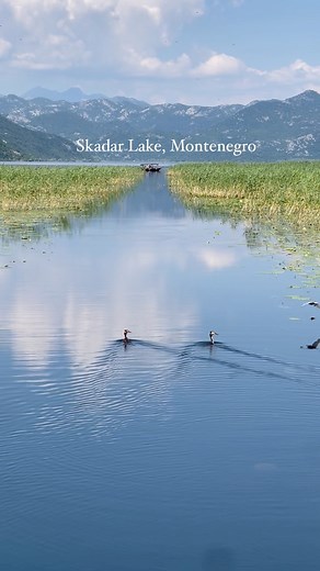 Inga Schlingmann on Instagram: "I imagine that this is what heaven must look like."