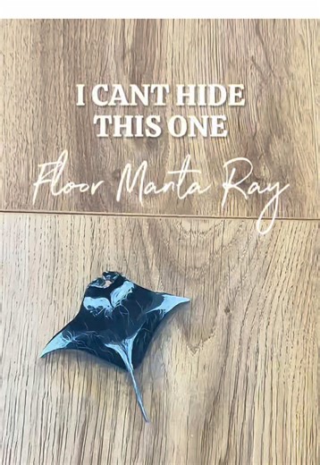 Painting a Manta Ray: A Whimsical Art Journey