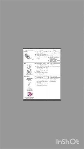 𝐒𝐭𝐮𝐝𝐲 𝐖𝐢𝐭𝐡 𝐃𝐮𝐥𝐚 ❤️🥰💚💙