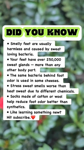 Why Do Feet Smell?! 🦶😳 #facts | Did You Know Facts By OFS