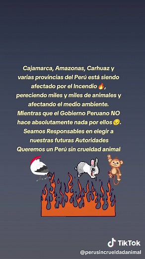 Peru sin Crueldad Animal on TikTok