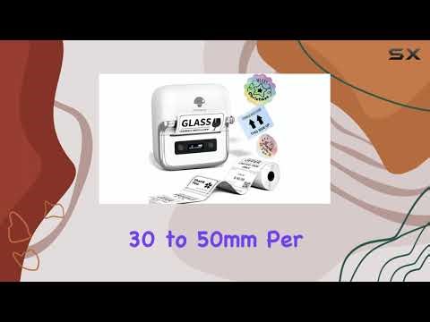 Phomemo M250: The Ultimate Label Maker?`