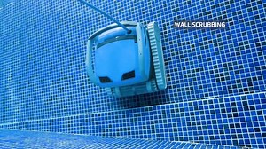 1.5K views · 19 reactions | The Dolphin M600 robotic pool cleaner is the best of the best, featuring floor, wall and waterline cleaning technology. Giving you the best clean with less hassle. Spend more time enjoying your pool and book a demo! Book your free demo today - https://mydolphin.com.au/book-a-demo/ | Maytronics | Facebook