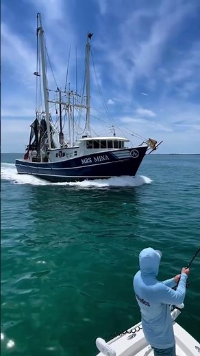 Giant fish VS giant boat! 😳