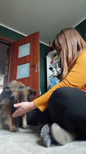 Rytmika z Lucy: Super zabawa dla każdego