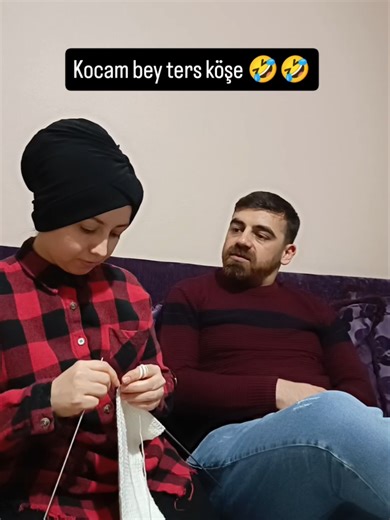 Understanding Irony in Humor