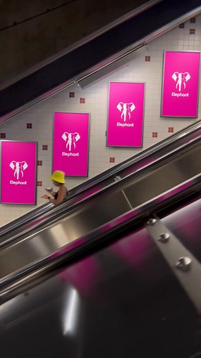 Play hundreds of the best games! Aviator, crash, sports... and get daily Rewards 🙌 Join Elephant Now ! | Elephant Sierra Leone