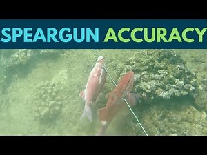 Spearfishing Accuracy With A Speargun(Hawaii Spearfishing Tips)