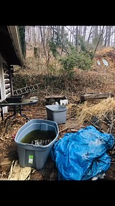 Nearly four years ago, we embarked on a journey by renovating the two cabins located behind the restaurant. It involved navigating permits, overcoming challenges, and dedicating countless hours to hard work and project management. Once the cabins were finished, our focus shifted to the restaurant itself. On November 1, 2024, Canoe officially opened its doors, marking a significant milestone for us. We're thrilled we took that leap of faith. Welcome to Canoe and Boho Hospitality! #womanownedbusin