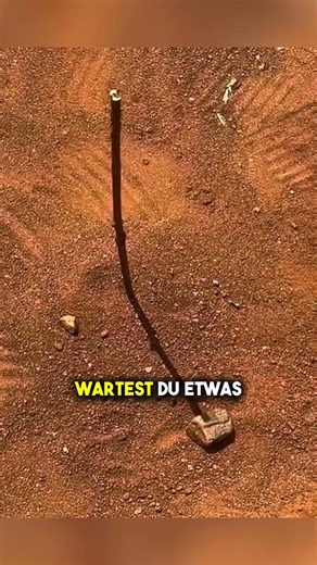 The stick in the EARTH 😋