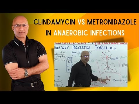Clindamycin vs Metronidazole | Anaerobic Infections