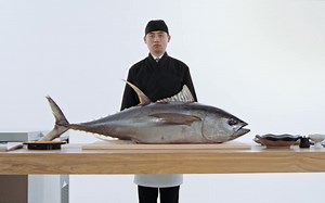 【中国广告】超低温冷柜秒变活鱼