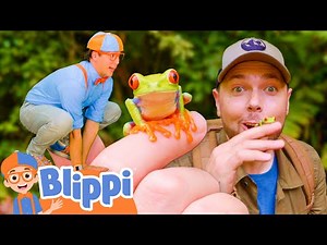 Blippi and Mark's Costa Rica Frog Hunt!🐸 | 📖Blippi📖 Moonbug Kids📖 Learning Corner