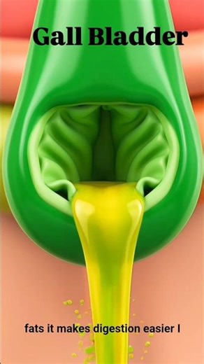 Gallbladder Animation #animation #gallbladder #animatedshorts #shorts