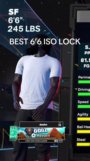 Best 6'6 ISO Lock Build for Basketball Gaming
